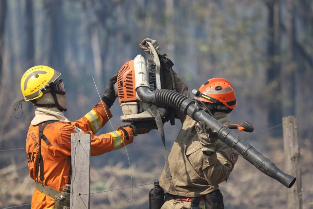 Operação Pantanal: bombeiros de MS lutam para conter grandes chamas na região do Nabileque Operação Pantanal: bombeiros de MS lutam para conter grandes chamas na região do Nabileque