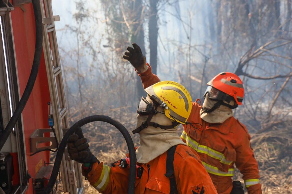 Operação Pantanal: bombeiros de MS lutam para conter grandes chamas na região do Nabileque Operação Pantanal: bombeiros de MS lutam para conter grandes chamas na região do Nabileque
