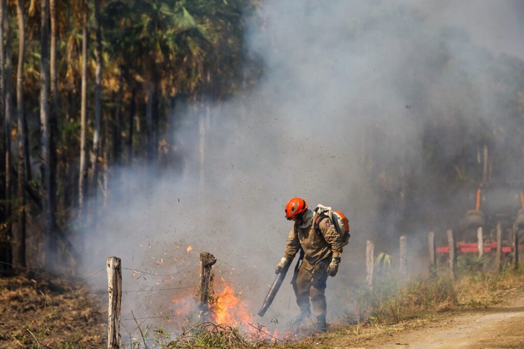 Operação Pantanal: bombeiros de MS lutam para conter grandes chamas na região do Nabileque Operação Pantanal: bombeiros de MS lutam para conter grandes chamas na região do Nabileque