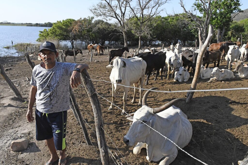 Maior que Portugal: mapa mostra imensidão do Pantanal em MS e desafios de logística no bioma Maior que Portugal: mapa mostra imensidão do Pantanal em MS e desafios de logística no bioma