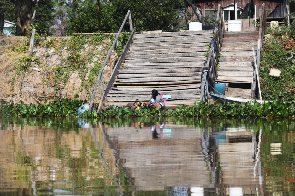 Maior que Portugal: mapa mostra imensidão do Pantanal em MS e desafios de logística no bioma Maior que Portugal: mapa mostra imensidão do Pantanal em MS e desafios de logística no bioma