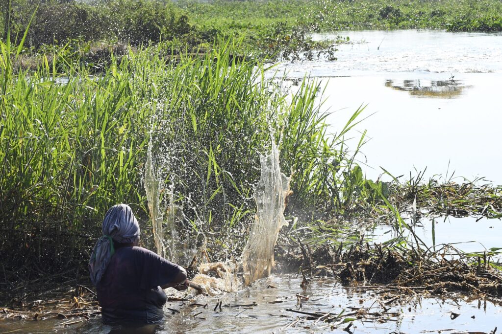 Maior que Portugal: mapa mostra imensidão do Pantanal em MS e desafios de logística no bioma Maior que Portugal: mapa mostra imensidão do Pantanal em MS e desafios de logística no bioma