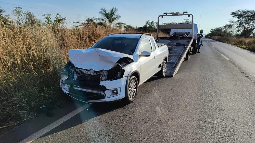 Carro com placa de Três Lagoas mata anta na MS-395, próximo a Brasilândia