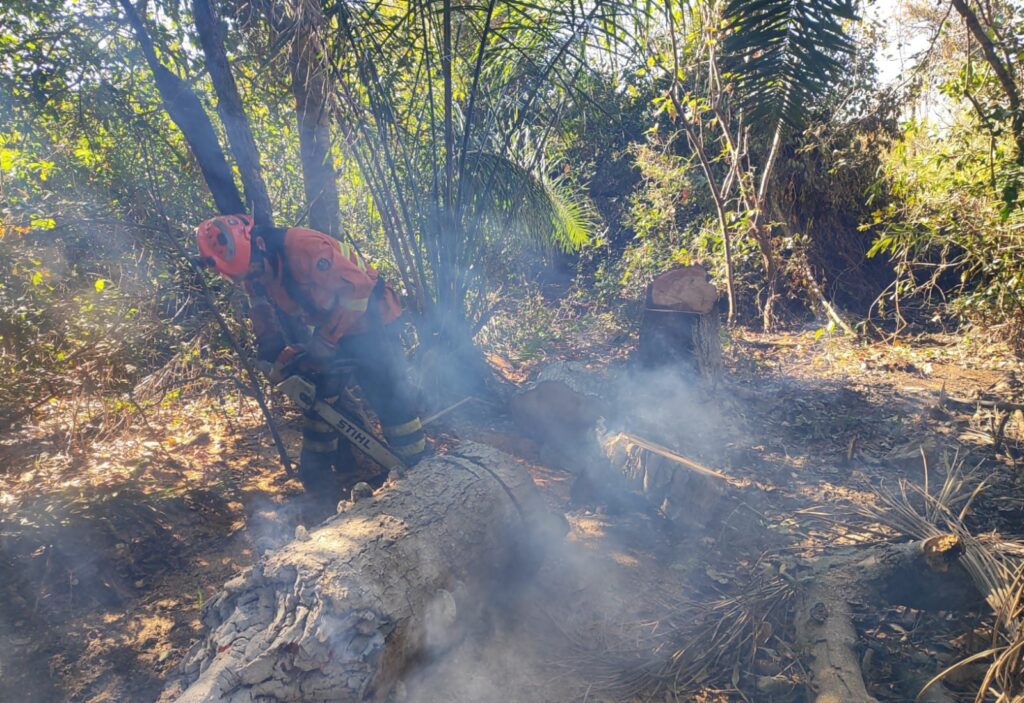 Pantanal de MS tem umidade em 10% e focos ativos em diferentes regiões Pantanal de MS tem umidade em 10% e focos ativos em diferentes regiões