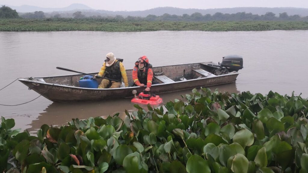 Incêndios florestais se intensificam em biomas de MS; na fronteira com a Bolívia, combate continua Incêndios florestais se intensificam em biomas de MS; na fronteira com a Bolívia, combate continua