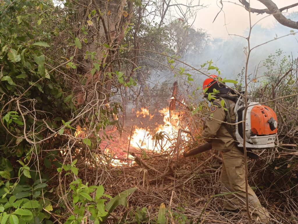 Bombeiros atuam no controle de incêndios florestais em MS e ribeirinhos serão atendidos em ação humanitária Bombeiros atuam no controle de incêndios florestais em MS e ribeirinhos serão atendidos em ação humanitária