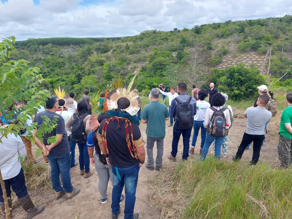 INovaland® estabelece raízes no Brasil para melhor atender comunidades e às partes interessadas na restauração de florestas INovaland® estabelece raízes no Brasil para melhor atender comunidades e às partes interessadas na restauração de florestas