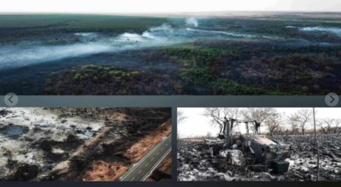 WhatsApp Image 2024-09-16 at 15.02.15