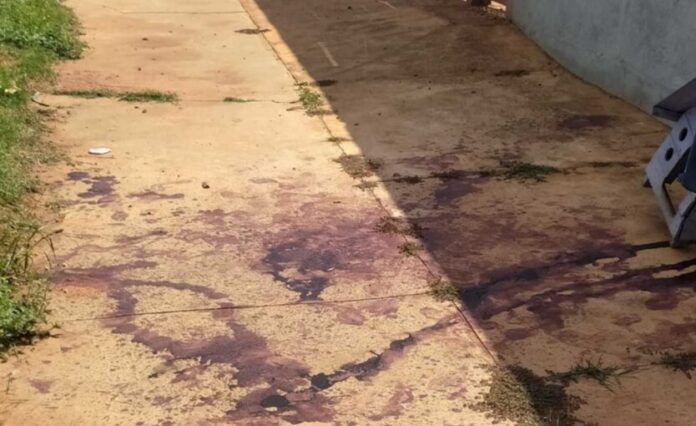 WhatsApp Image 2024-09-16 at 16.33.13