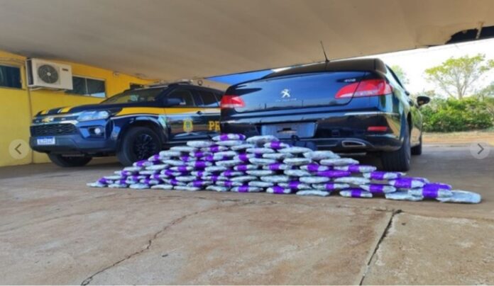 WhatsApp Image 2024-09-18 at 17.56.05