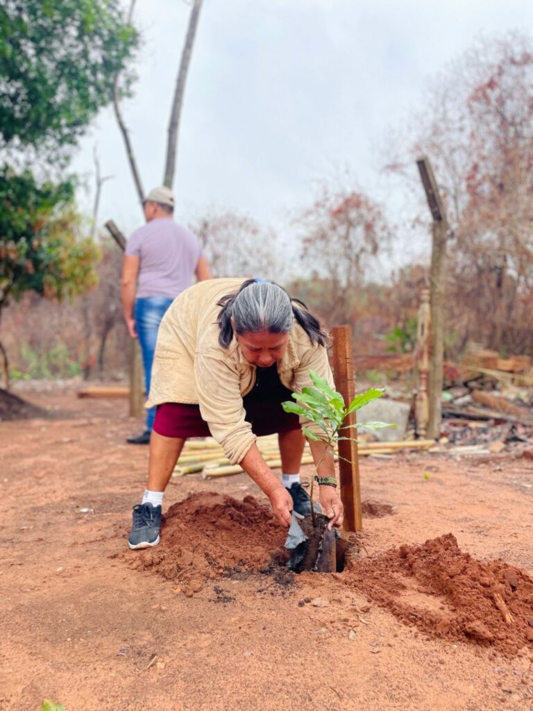 Ação Cidadania ECOmunitária planta árvores e semeia a ideia de que o futuro é ancestral Ação Cidadania ECOmunitária planta árvores e semeia a ideia de que o futuro é ancestral