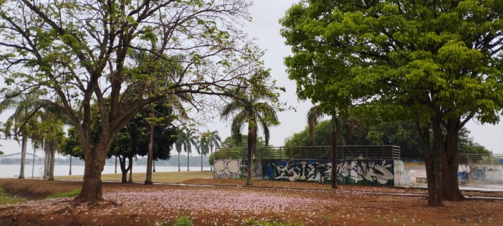 Chuva traz alívio ao três-lagoense; veja como fica a previsão do tempo para os próximos dias