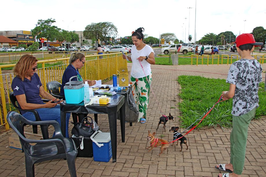 SMS imunizou mais de 120 animais contra a raiva no último sábado (9), na Feira Central SMS imunizou mais de 120 animais contra a raiva no último sábado (9), na Feira Central