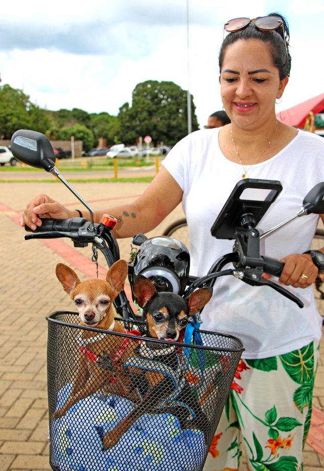 SMS imunizou mais de 120 animais contra a raiva no último sábado (9), na Feira Central SMS imunizou mais de 120 animais contra a raiva no último sábado (9), na Feira Central