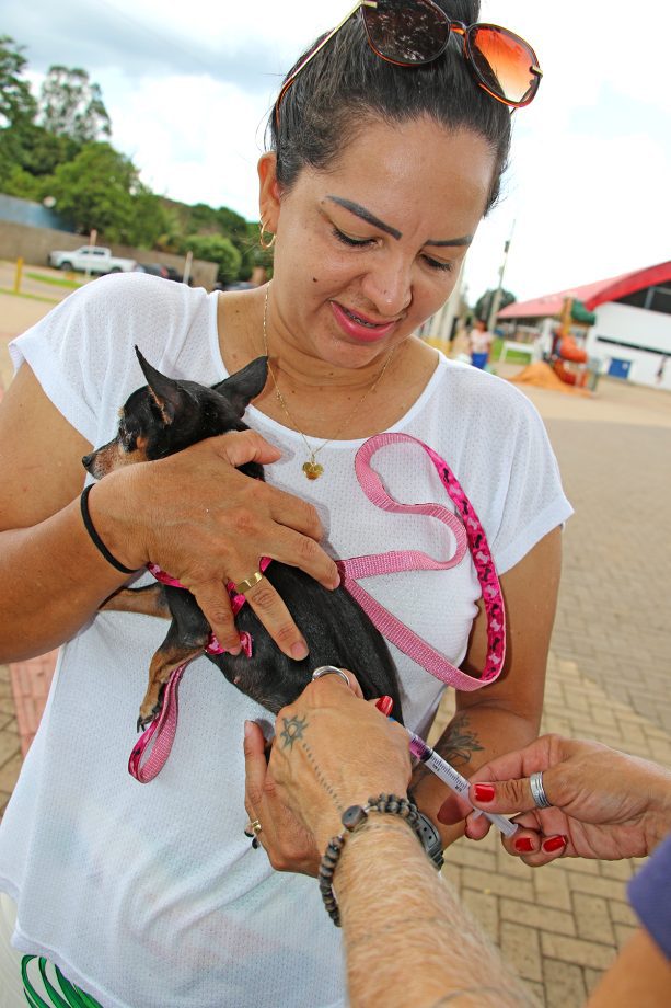 SMS imunizou mais de 120 animais contra a raiva no último sábado (9), na Feira Central SMS imunizou mais de 120 animais contra a raiva no último sábado (9), na Feira Central