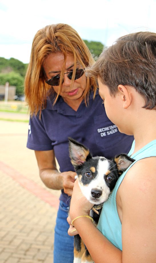 SMS imunizou mais de 120 animais contra a raiva no último sábado (9), na Feira Central SMS imunizou mais de 120 animais contra a raiva no último sábado (9), na Feira Central