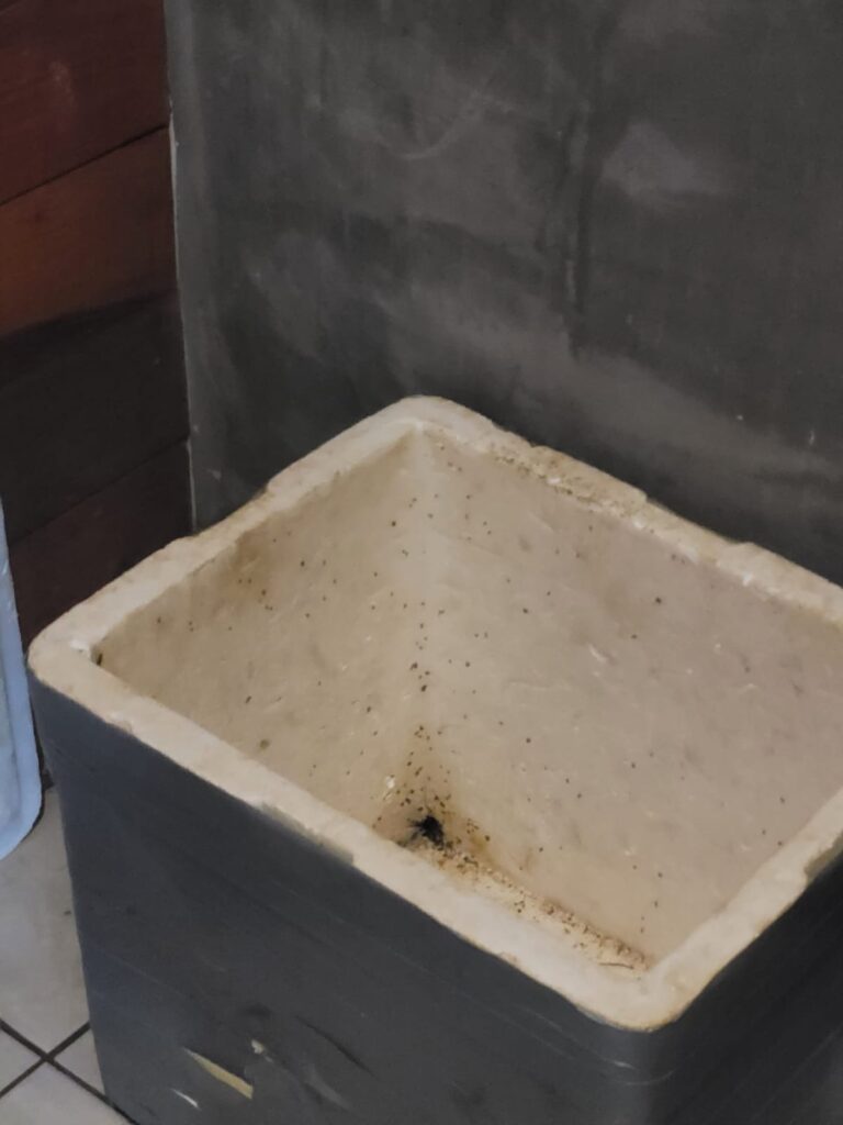 Polícia Civil e órgãos de fiscalização realizam operação conjunta em restaurantes de Brasilândia Polícia Civil e órgãos de fiscalização realizam operação conjunta em restaurantes de Brasilândia