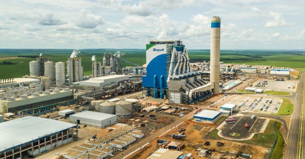 Saiba quem são os donos das maiores produtoras de papel do Brasil com investimentos bilionários Saiba quem são os donos das maiores produtoras de papel do Brasil com investimentos bilionários
