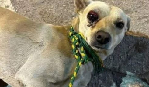 WhatsApp Image 2024-12-16 at 12.32.33