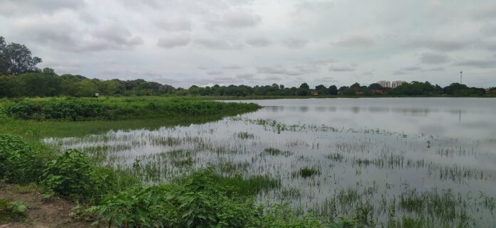 original_a13cb8e0-c6d0-4afb-b433-b6d70230adf8_IMG_20241213_075418