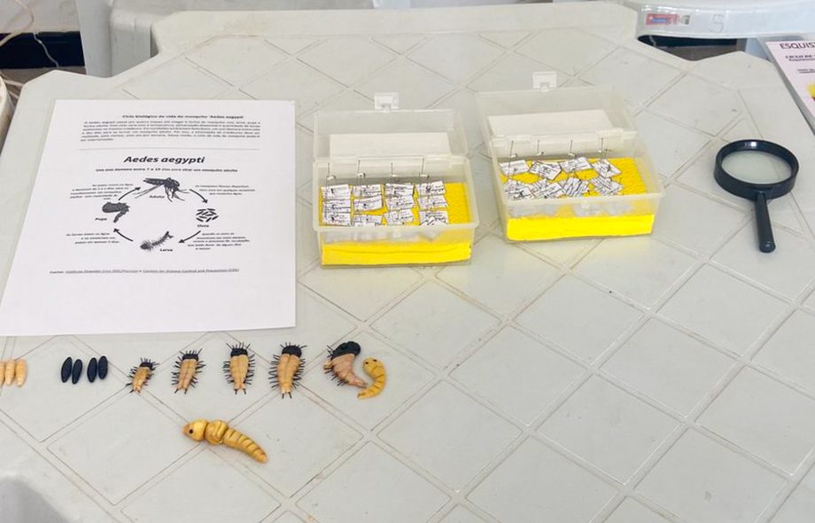 1ª Reunião do Comitê da Dengue emite sinal de alerta em Três Lagoas após casos confirmados de DEN-3 1ª Reunião do Comitê da Dengue emite sinal de alerta em Três Lagoas após casos confirmados de DEN-3