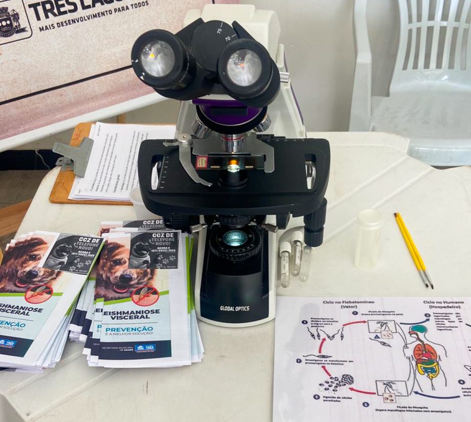 1ª Reunião do Comitê da Dengue emite sinal de alerta em Três Lagoas após casos confirmados de DEN-3 1ª Reunião do Comitê da Dengue emite sinal de alerta em Três Lagoas após casos confirmados de DEN-3