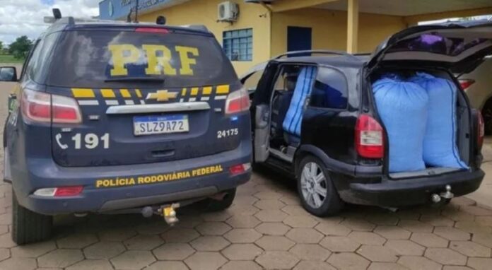 WhatsApp Image 2025-02-04 at 15.03.46