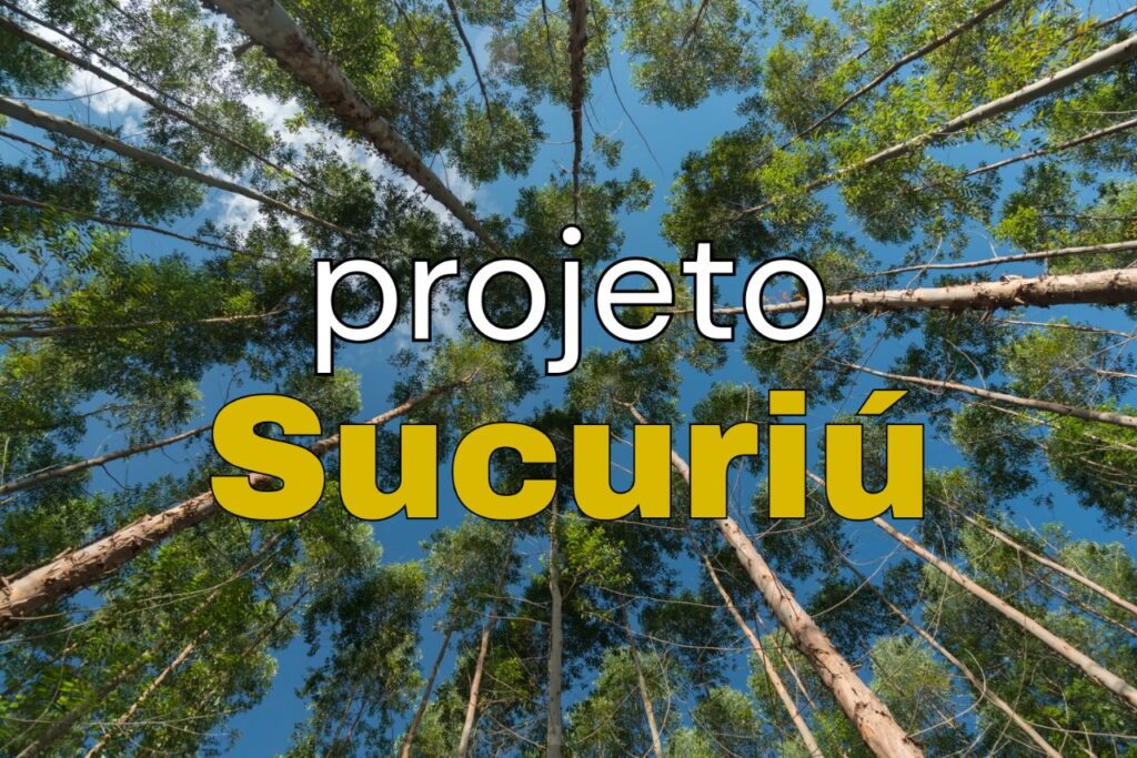 Nas comemorações de aniversário, Inocência ganha presente bilionário do setor da celulose Nas comemorações de aniversário, Inocência ganha presente bilionário do setor da celulose