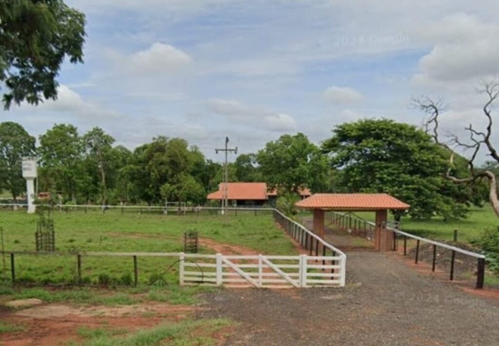 Novilhas roubadas em fazenda foram recuperadas em estância às margens da BR 158 em Brasilândia Novilhas roubadas em fazenda foram recuperadas em estância às margens da BR 158 em Brasilândia