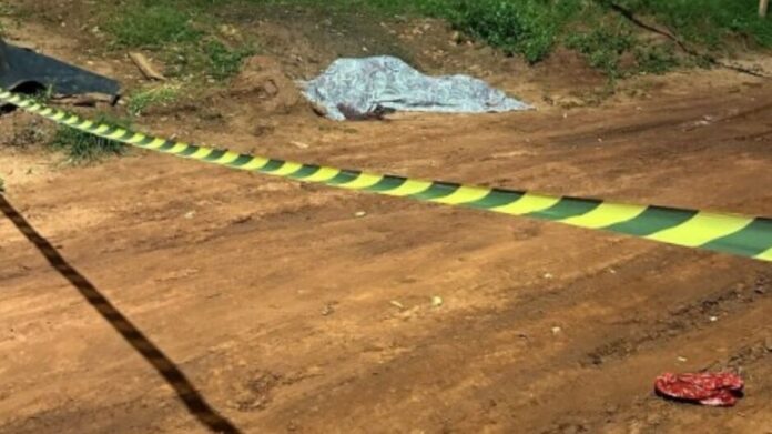 whatsapp-image-2025-04-11-at-143014