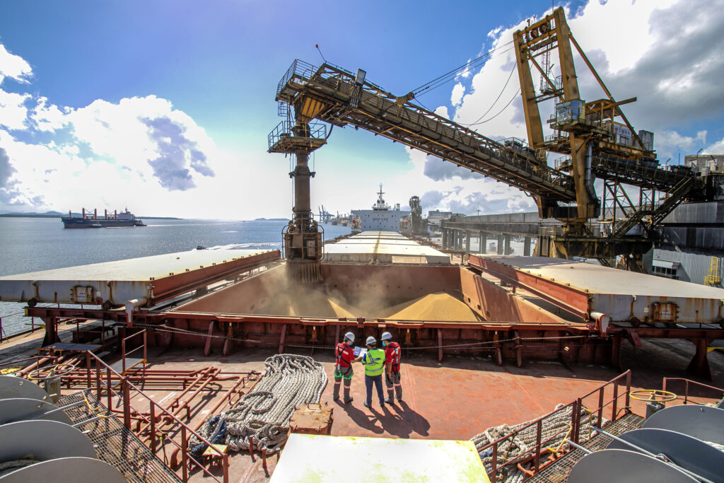 Celulose impulsiona exportações de MS com crescimento de 112,87% no primeiro trimestre de 2025
