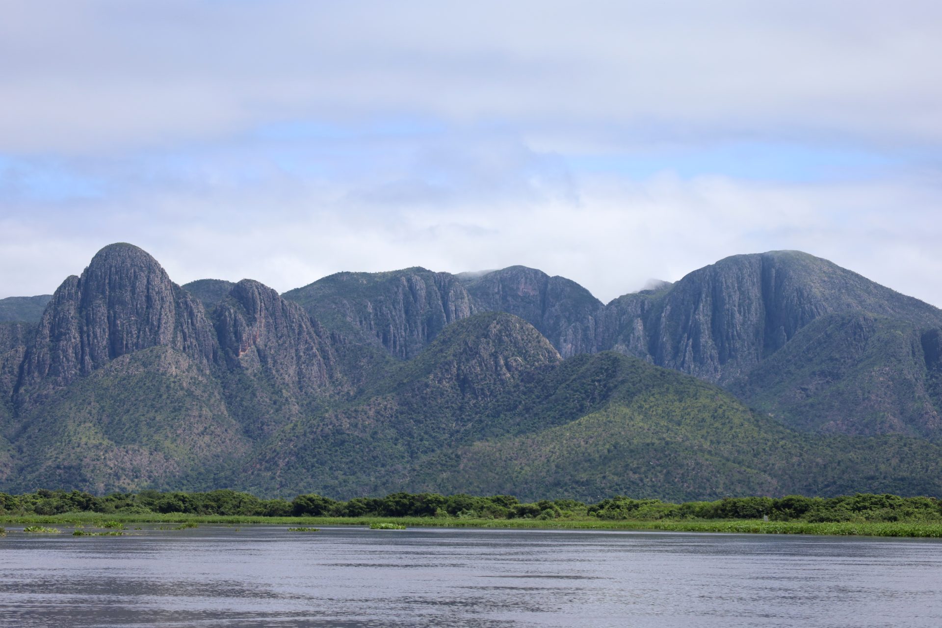 Novo regramento ambiental e monitoramento via satélite ajudam a reduzir supressão vegetal no Pantanal Novo regramento ambiental e monitoramento via satélite ajudam a reduzir supressão vegetal no Pantanal