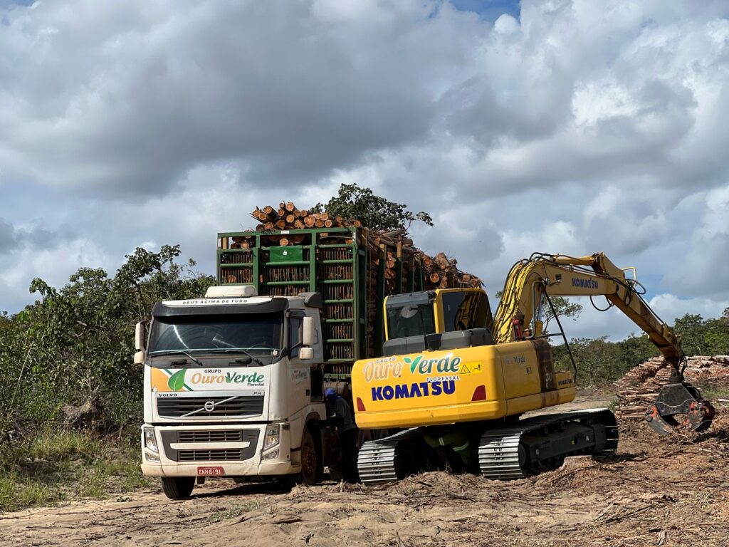 Grupo Ouro Verde Florestal se consolida no mercado com soluções completas do plantio à colheita Grupo Ouro Verde Florestal se consolida no mercado com soluções completas do plantio à colheita