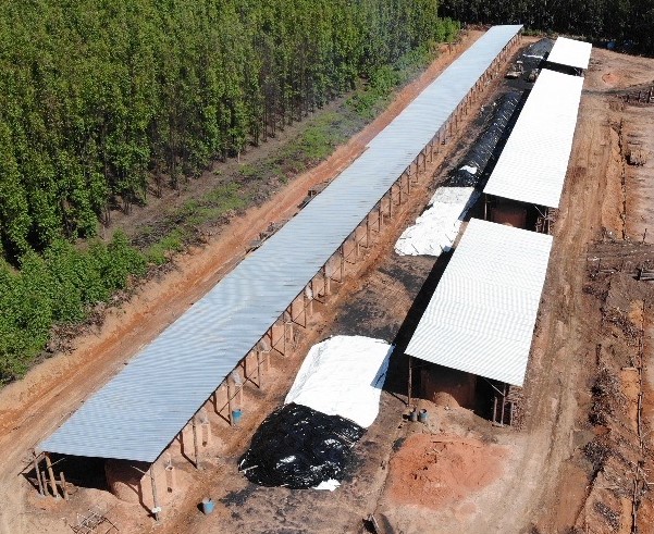 Grupo Ouro Verde Florestal se consolida no mercado com soluções completas do plantio à colheita Grupo Ouro Verde Florestal se consolida no mercado com soluções completas do plantio à colheita