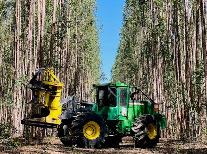 Grupo Ouro Verde Florestal se consolida no mercado com soluções completas do plantio à colheita Grupo Ouro Verde Florestal se consolida no mercado com soluções completas do plantio à colheita