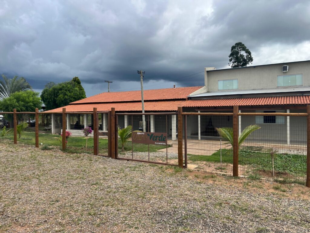 Grupo Ouro Verde Florestal se consolida no mercado com soluções completas do plantio à colheita Grupo Ouro Verde Florestal se consolida no mercado com soluções completas do plantio à colheita