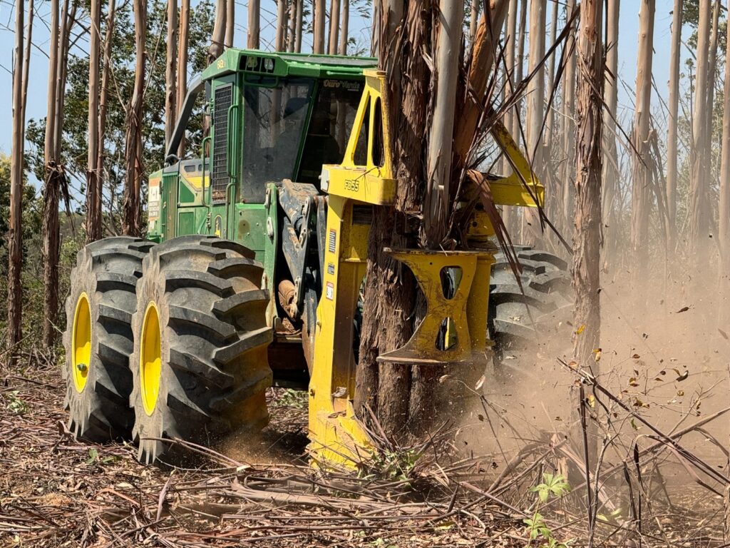 Grupo Ouro Verde Florestal se consolida no mercado com soluções completas do plantio à colheita Grupo Ouro Verde Florestal se consolida no mercado com soluções completas do plantio à colheita