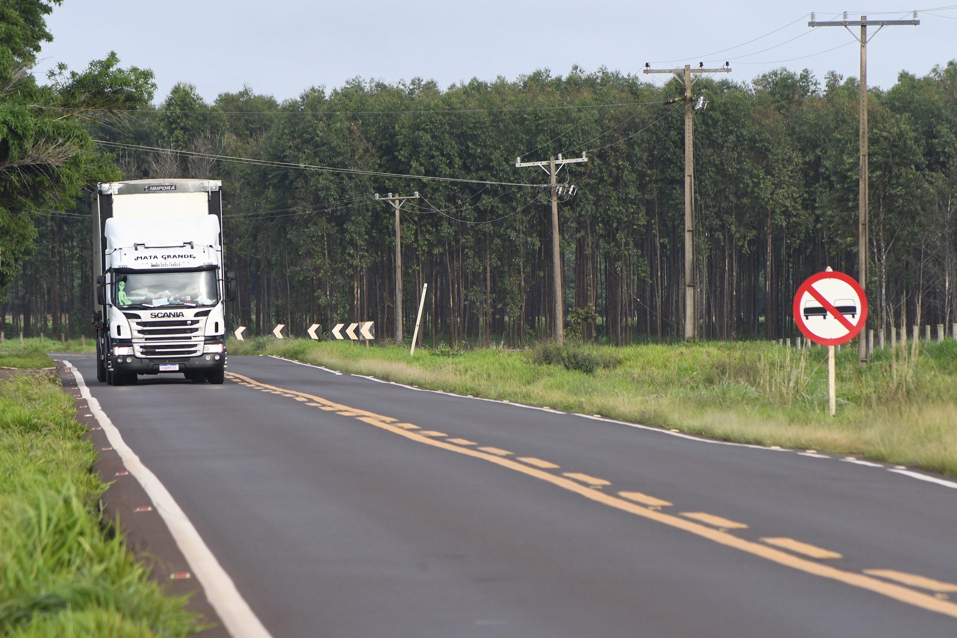Rota da Celulose vai qualificar rodovias, impulsionar economia e mudar realidade de muitas pessoas Rota da Celulose vai qualificar rodovias, impulsionar economia e mudar realidade de muitas pessoas