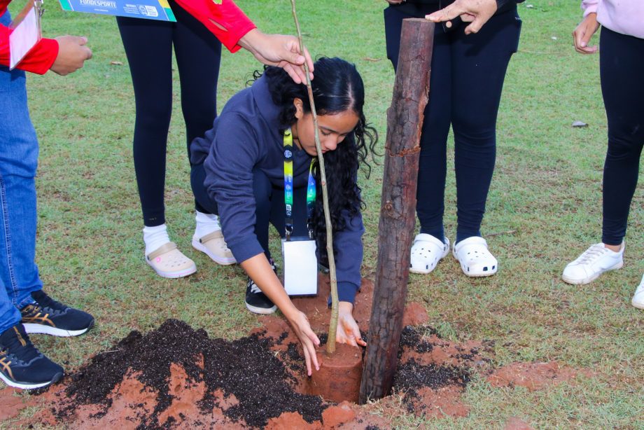 Atletas plantam 30 mudas de árvores na Lagoa Maior em alusão aos Jogos Escolares Atletas plantam 30 mudas de árvores na Lagoa Maior em alusão aos Jogos Escolares