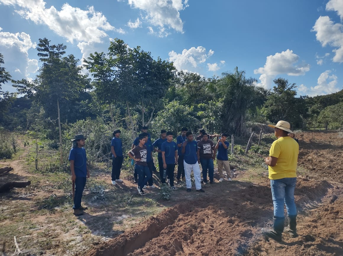 ‘Semenando o Futuro’: Projeto refloresta terra Terena, valoriza cultura indígena e garante alimentos ‘Semenando o Futuro’: Projeto refloresta terra Terena, valoriza cultura indígena e garante alimentos