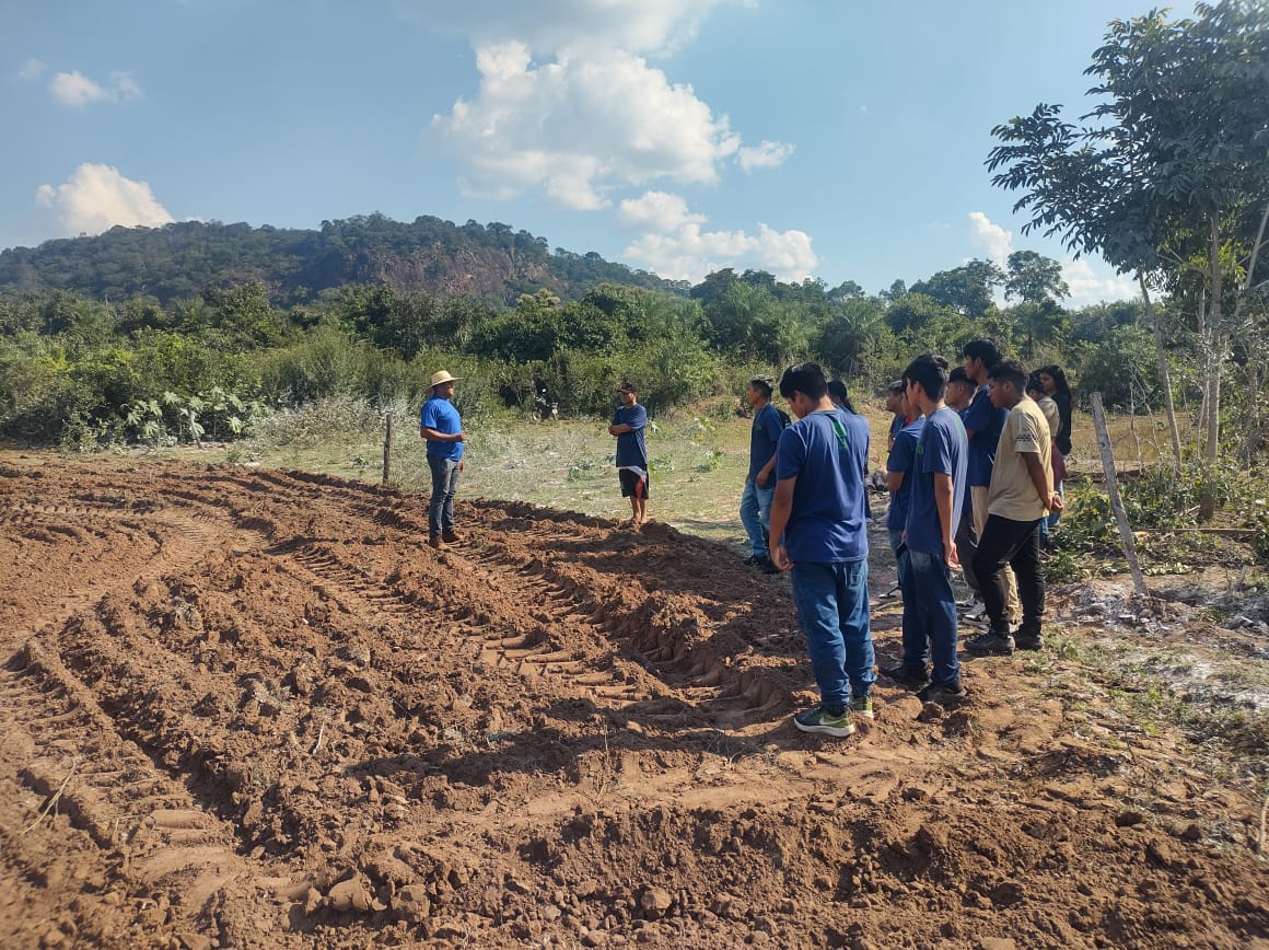 ‘Semenando o Futuro’: Projeto refloresta terra Terena, valoriza cultura indígena e garante alimentos ‘Semenando o Futuro’: Projeto refloresta terra Terena, valoriza cultura indígena e garante alimentos