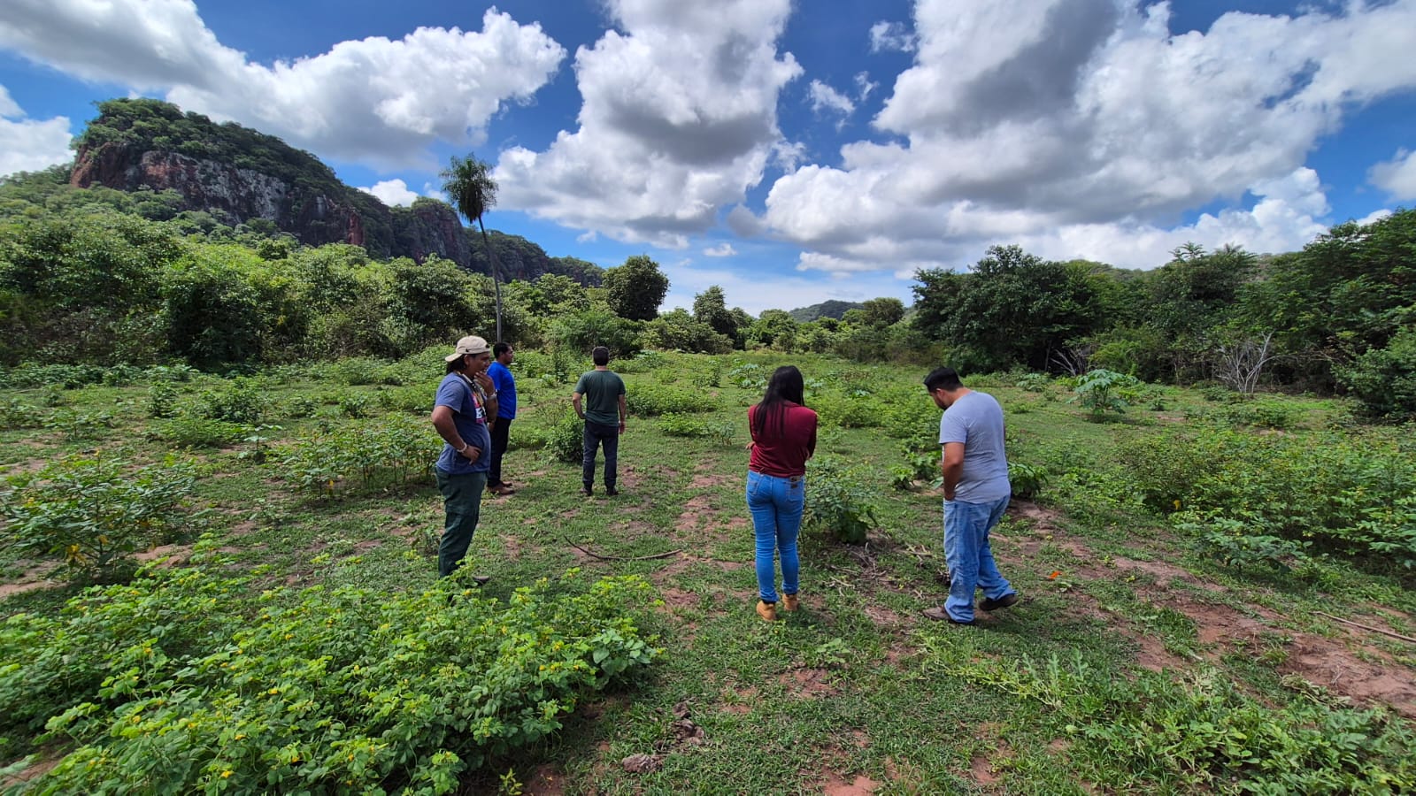 ‘Semenando o Futuro’: Projeto refloresta terra Terena, valoriza cultura indígena e garante alimentos ‘Semenando o Futuro’: Projeto refloresta terra Terena, valoriza cultura indígena e garante alimentos