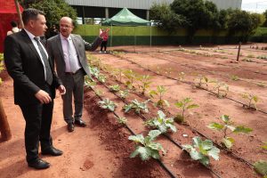 Esperança que floresce entre muros: reforma de escola une educação, dignidade e transformação social em MS Esperança que floresce entre muros: reforma de escola une educação, dignidade e transformação social em MS