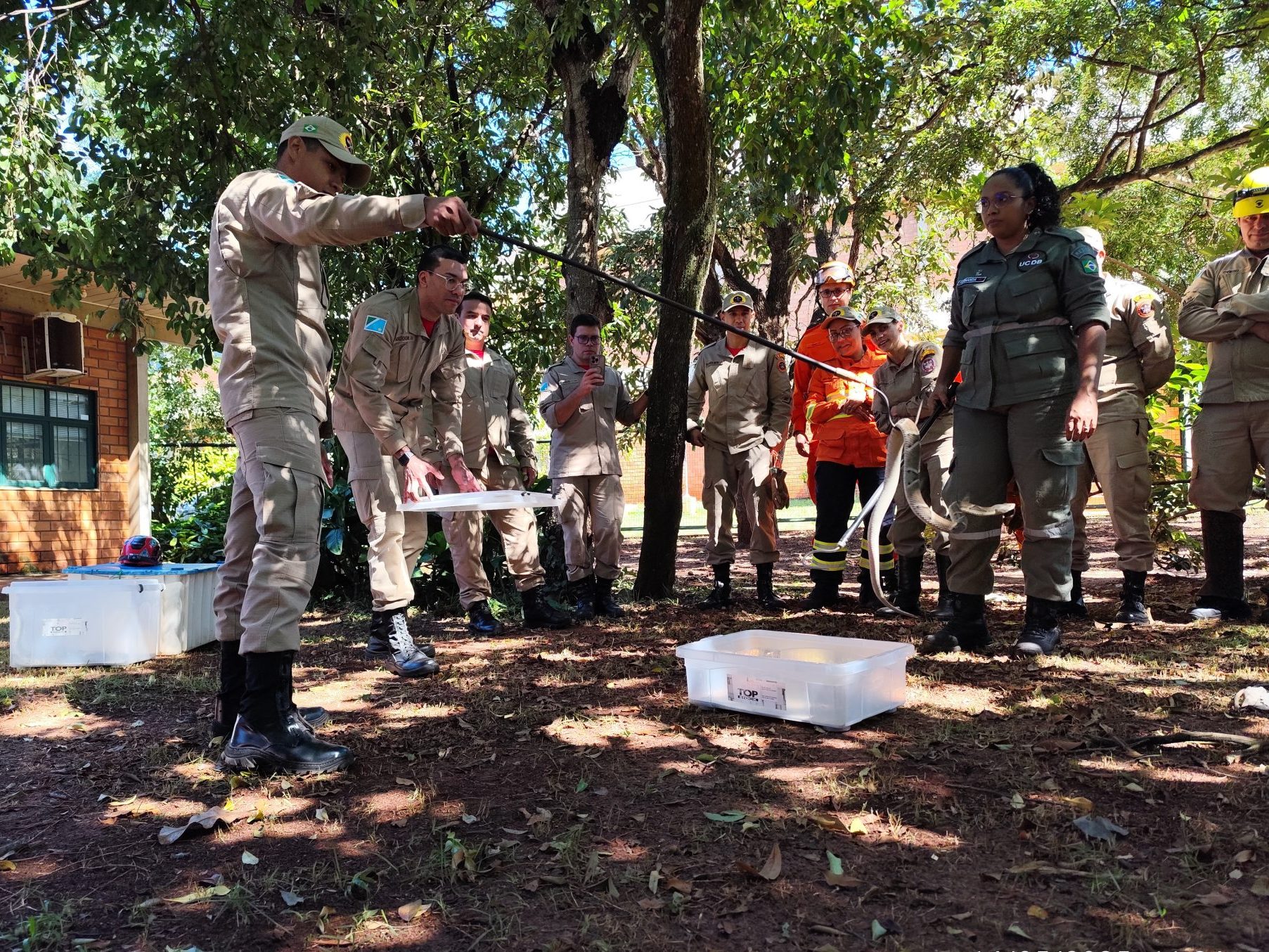 Na luta contra o fogo toda vida importa e Bombeiros aprimoram técnicas para resgate de animais silvestres Na luta contra o fogo toda vida importa e Bombeiros aprimoram técnicas para resgate de animais silvestres