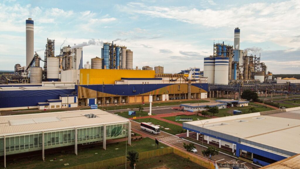 MS na elite da celulose: se fosse país, já estaria no top 10 mundial — e em poucos anos, pode chegar ao pódio MS na elite da celulose: se fosse país, já estaria no top 10 mundial — e em poucos anos, pode chegar ao pódio