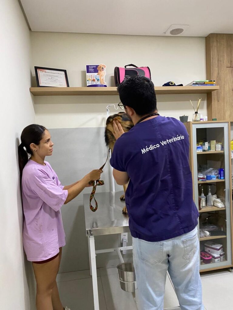 Quer viajar sem preocupações com seu animal de estimação? Patinhas Pet Sitter é a babá do seu dog Quer viajar sem preocupações com seu animal de estimação? Patinhas Pet Sitter é a babá do seu dog