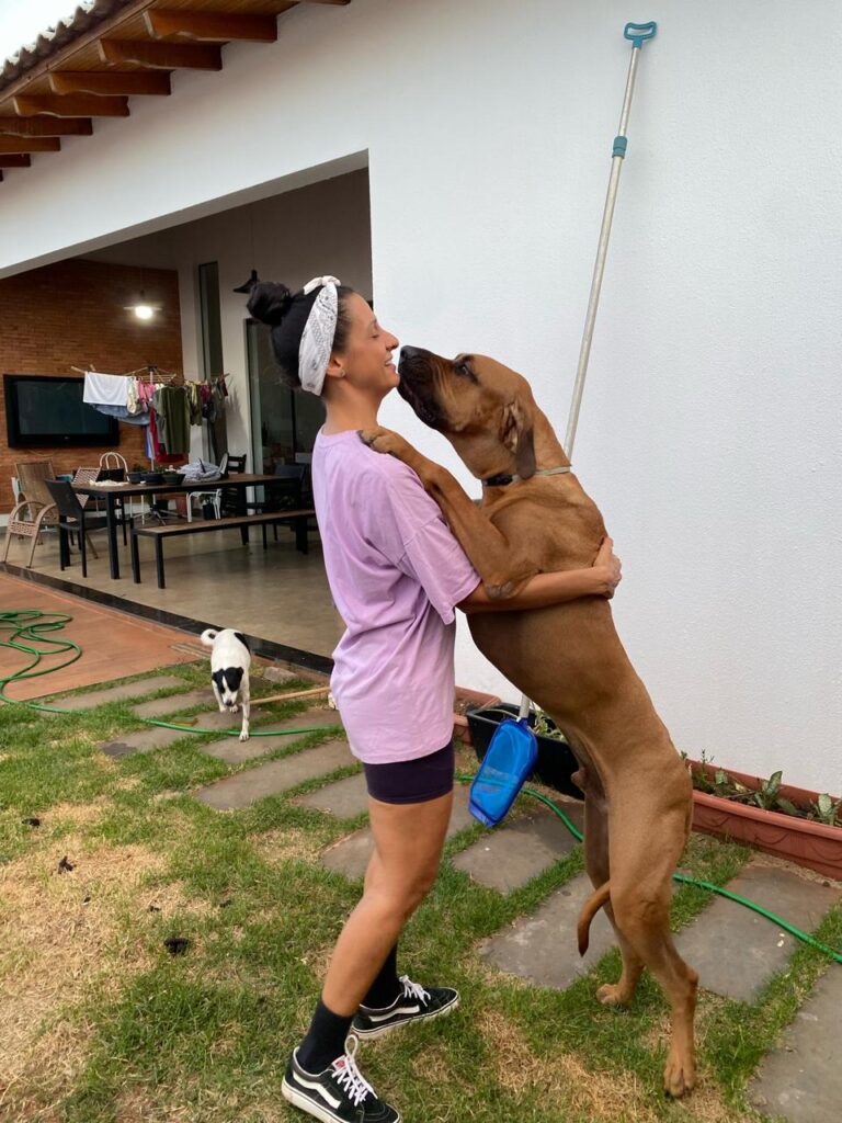 Quer viajar sem preocupações com seu animal de estimação? Patinhas Pet Sitter é a babá do seu dog Quer viajar sem preocupações com seu animal de estimação? Patinhas Pet Sitter é a babá do seu dog