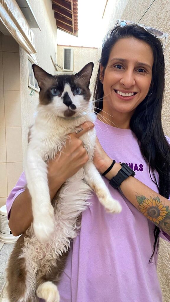 Quer viajar sem preocupações com seu animal de estimação? Patinhas Pet Sitter é a babá do seu dog Quer viajar sem preocupações com seu animal de estimação? Patinhas Pet Sitter é a babá do seu dog
