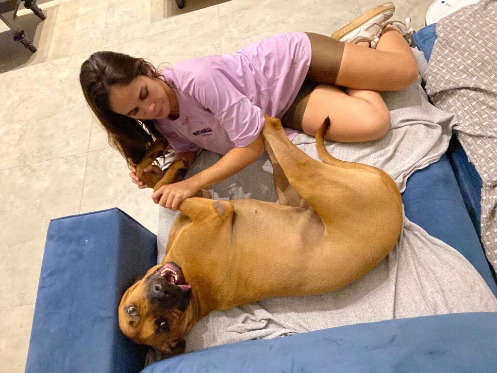 Quer viajar sem preocupações com seu animal de estimação? Patinhas Pet Sitter é a babá do seu dog Quer viajar sem preocupações com seu animal de estimação? Patinhas Pet Sitter é a babá do seu dog