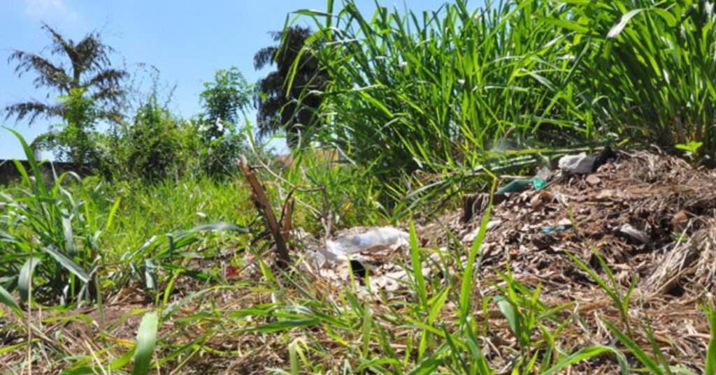 TERRENO SUJO: de um total de 1.178 multas, apenas 46 foram anistiadas pela prefeitura de Três Lagoas TERRENO SUJO: de um total de 1.178 multas, apenas 46 foram anistiadas pela prefeitura de Três Lagoas